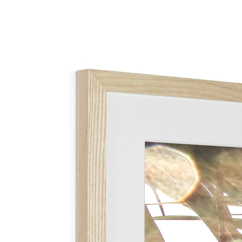 SeekandRamble Framed Bondi Beach Palms Framed & Mounted Print