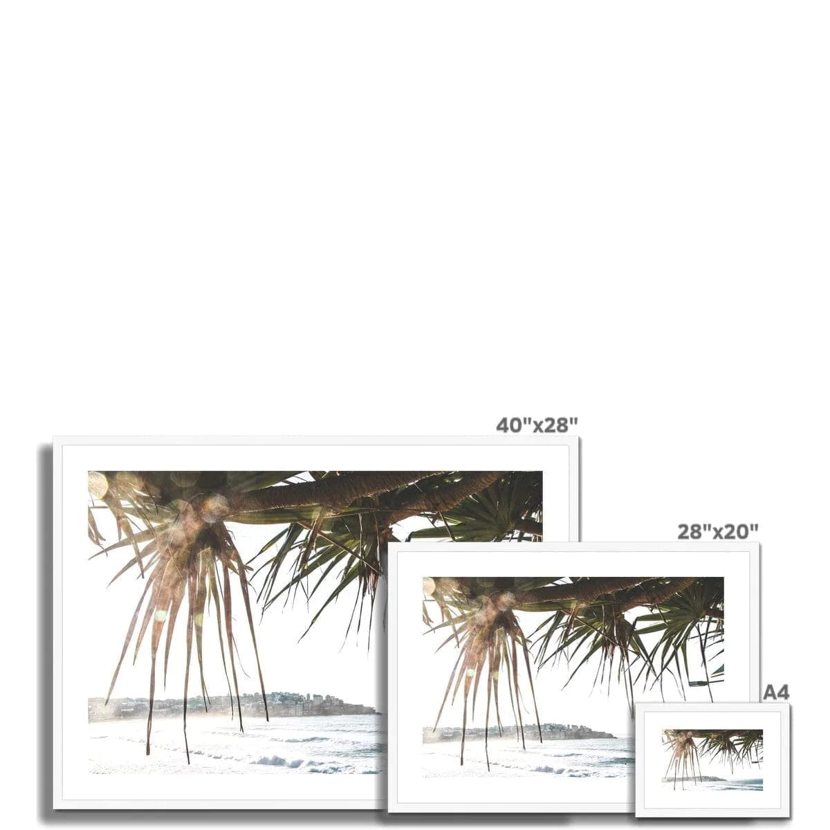 Seek & Ramble Framed Bondi Beach Palms Framed & Mounted Print