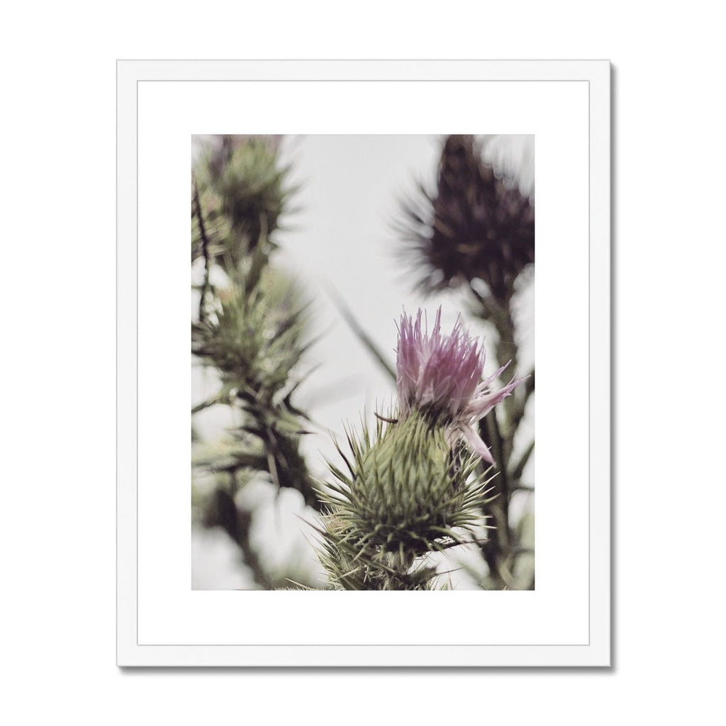 SeekandRamble Framed A4 Portrait (21x29.7cm) / White Frame Botanical Pink Thistle Flower Framed & Mounted Print