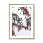 Adam Davies Framed A4 Portrait / Natural Frame Bottlebrush Flowers #1 Framed & Mounted Print