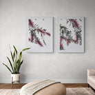 Adam Davies Framed Bottlebrush Flowers #1 Framed & Mounted Print