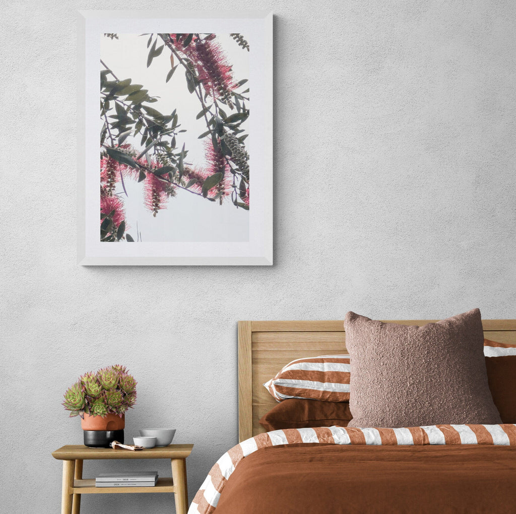 SeekandRamble Framed Bottlebrush Flowers #1 Framed & Mounted Print