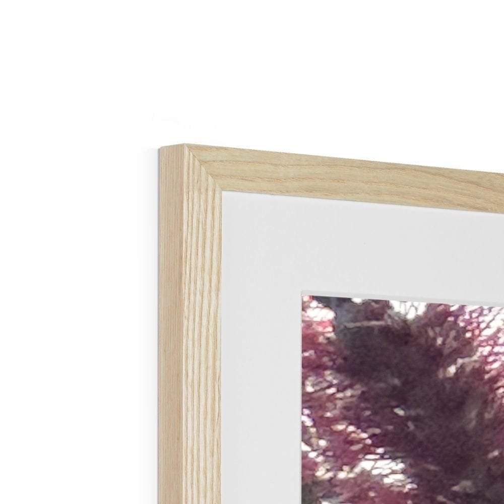 SeekandRamble Framed Bottlebrush Flowers #2 Framed & Mounted Print