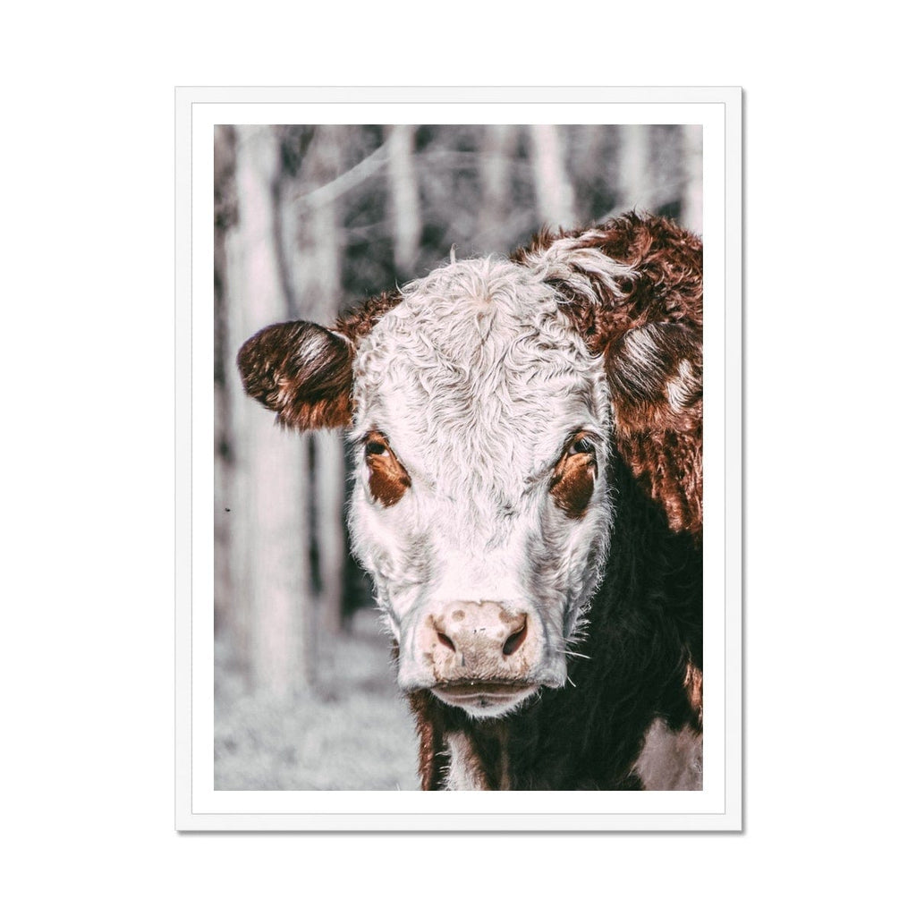 SeekandRamble Framed A4 Portrait (21x29.7cm) / White Frame Brown and White Cow Framed Print