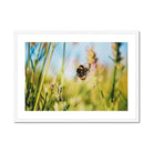 Adam Davies Framed A4 Landscape (29x21cm) / White Frame Bumble Bee Framed & Mounted Print