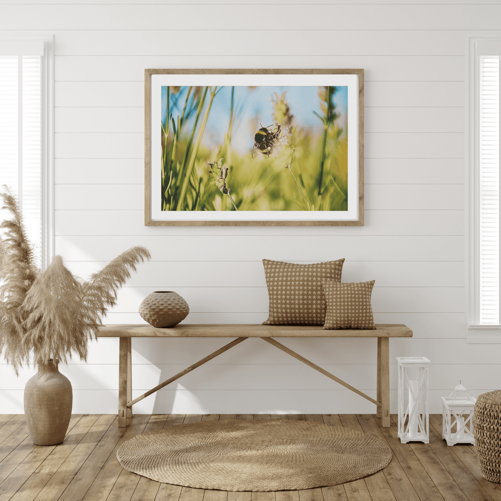 Adam Davies Framed Bumble Bee Framed & Mounted Print