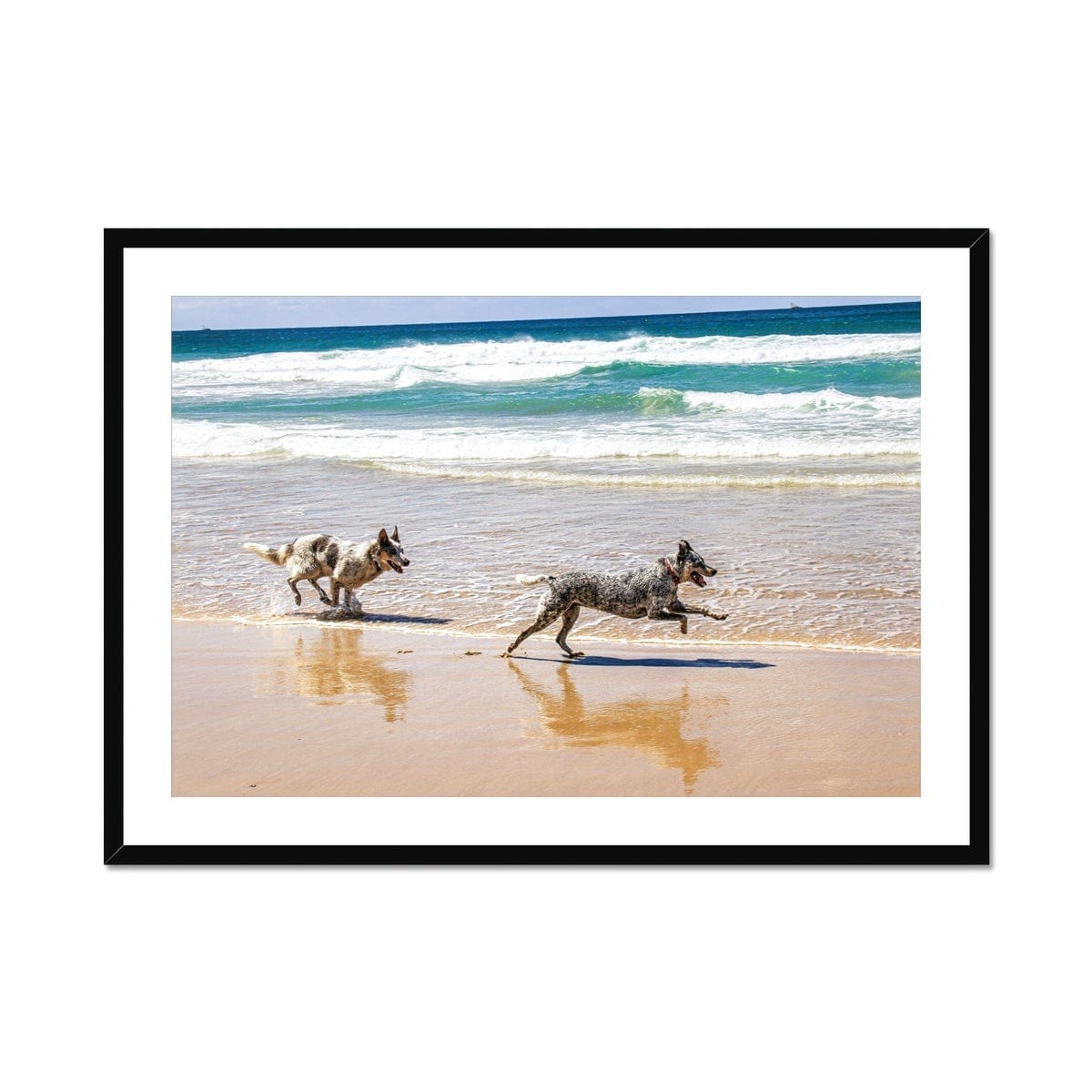 Adam Davies Framed 28"x20" (71.12x50.8cm) / Black Frame Byron Bay Dogs Framed & Mounted Print