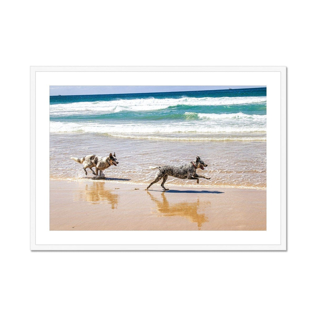 SeekandRamble Framed 28"x20" (71.12x50.8cm) / White Frame Byron Bay Dogs Framed & Mounted Print