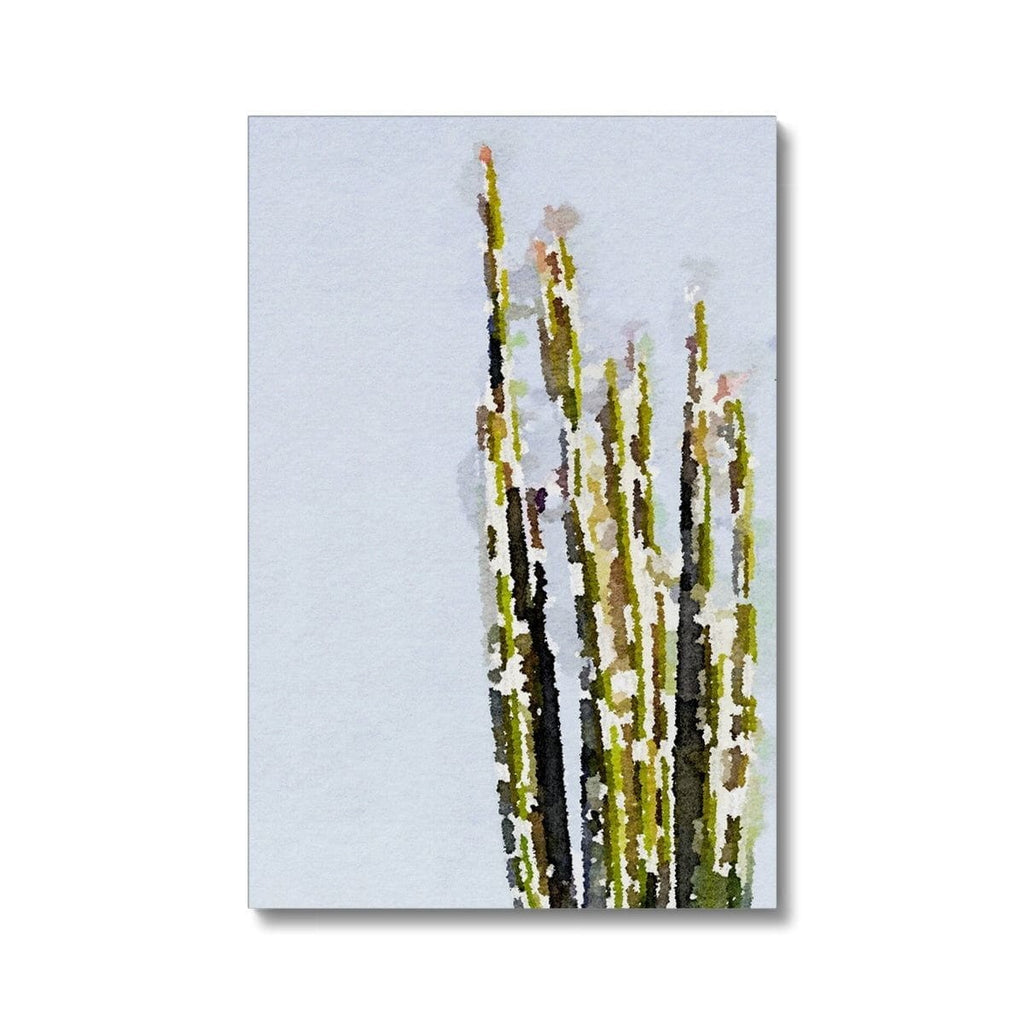 SeekandRamble Fine art 16"x24" / Image Wrap Cactus Flower Eco Canvas