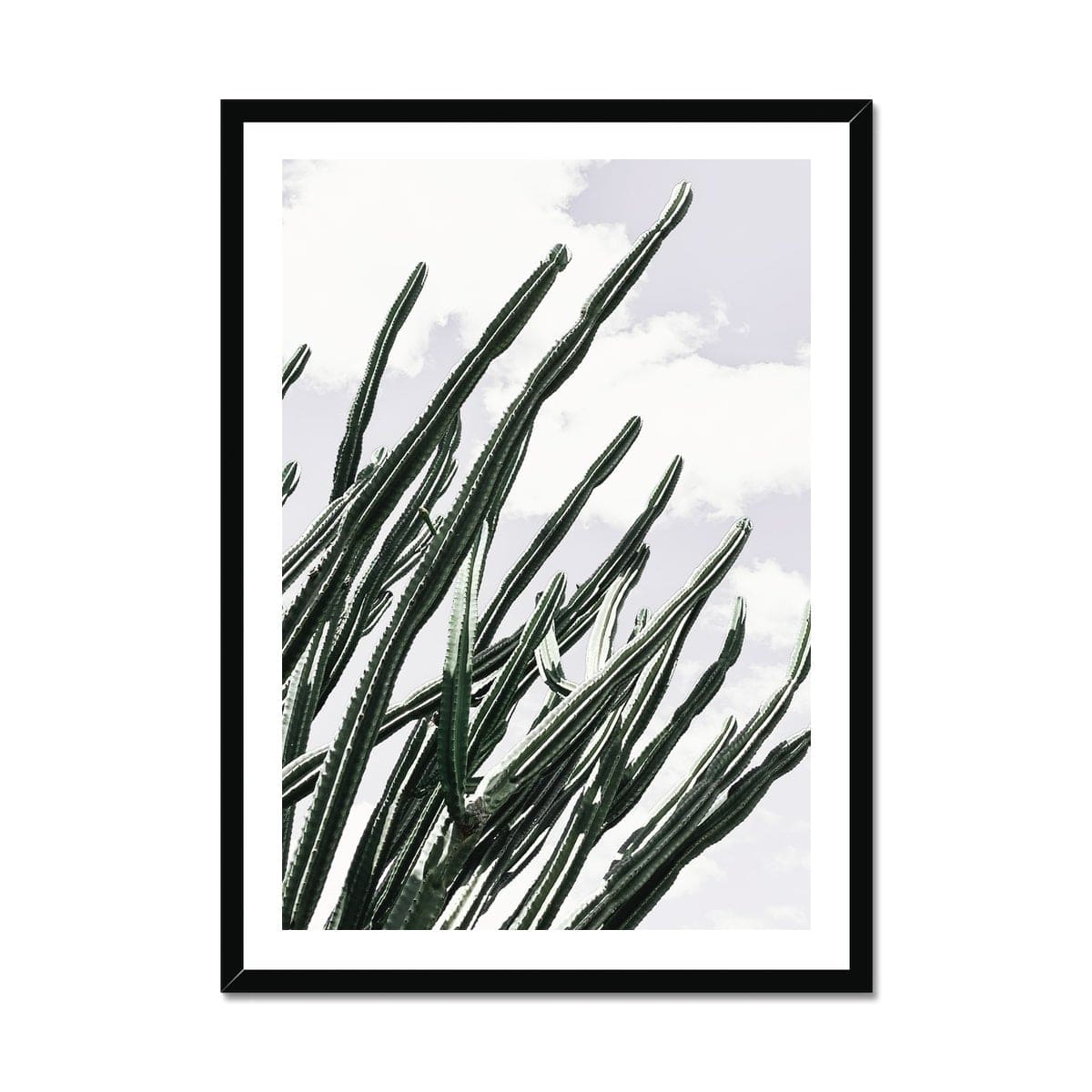 Seek & Ramble Framed 12"x16"(40.64x30.48cm) / Black Frame Cactus & More Cactus Framed Print