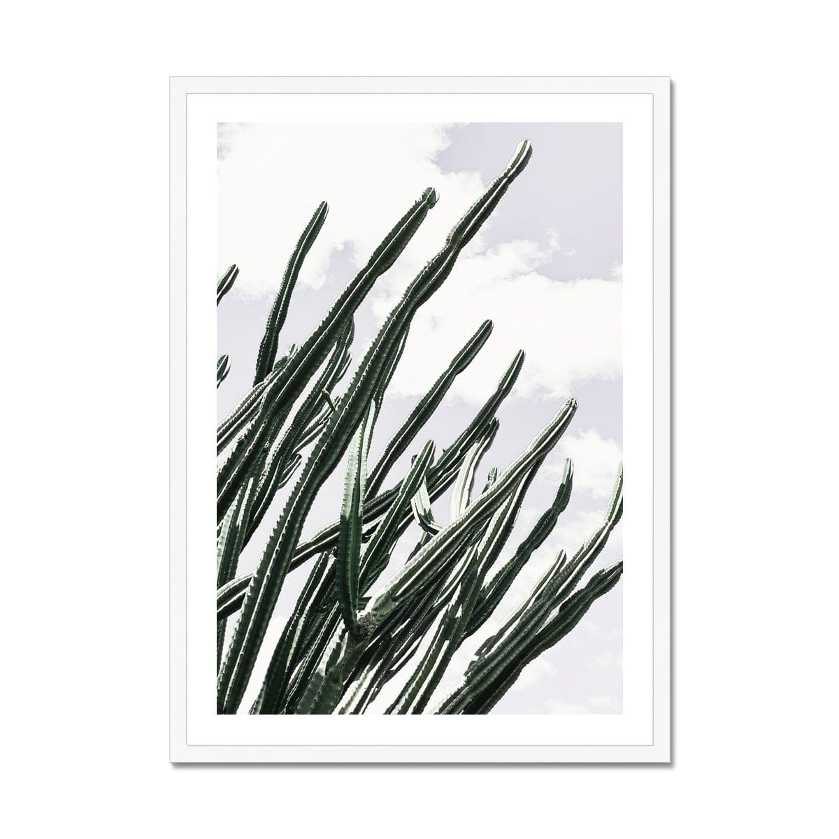 Seek & Ramble Framed 12"x16"(40.64x30.48cm) / White Frame Cactus & More Cactus Framed Print
