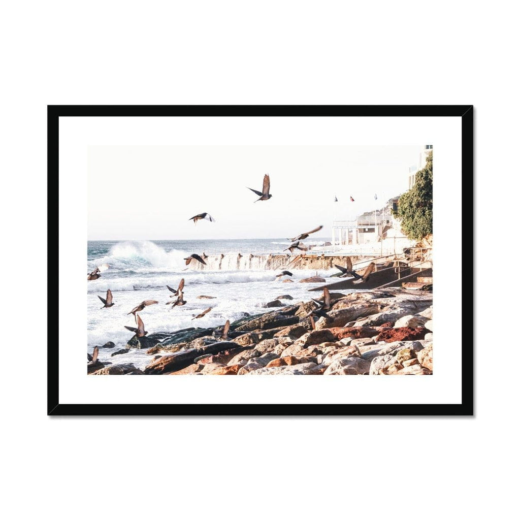 Seek & Ramble Framed A4 Landscape / Black Frame Coastal Bondi Beach Seagulls Framed & Mounted Print