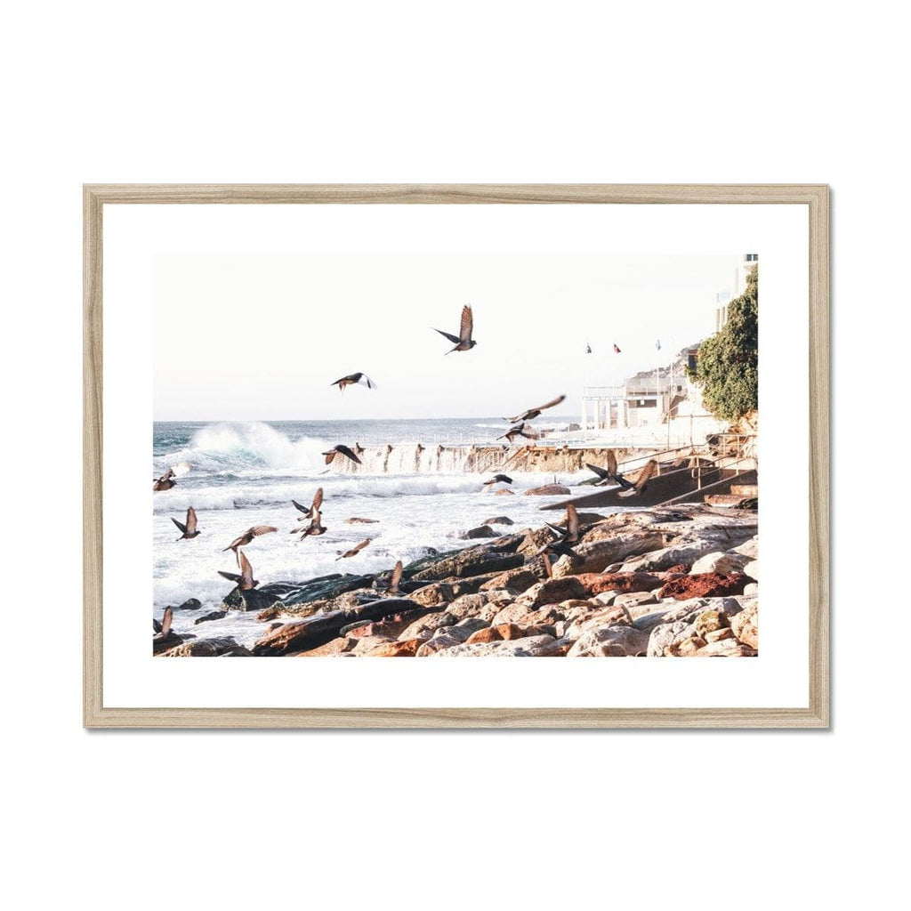 Seek & Ramble Framed A4 Landscape / Natural Frame Coastal Bondi Beach Seagulls Framed & Mounted Print