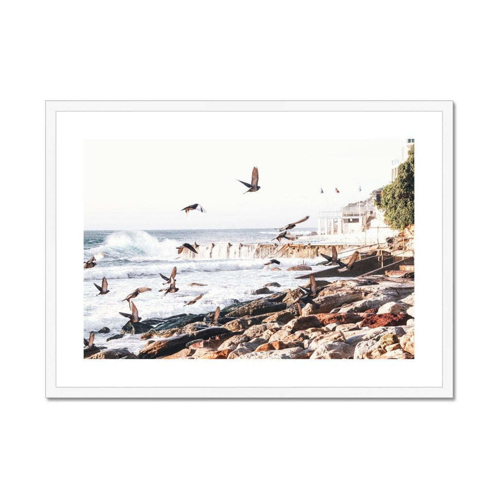 SeekandRamble Framed 28"x20" / White Frame Coastal Bondi Beach Seagulls Framed & Mounted Print