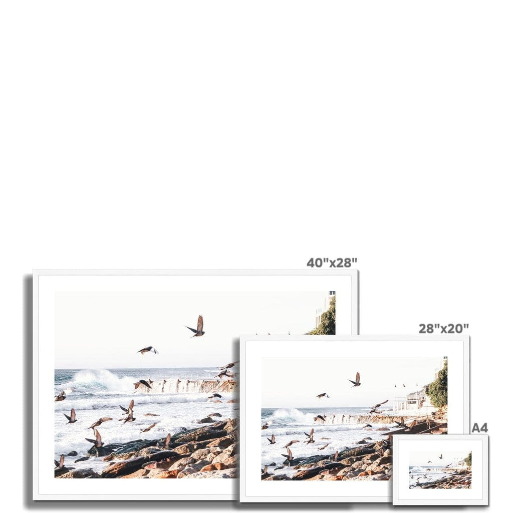 SeekandRamble Framed Coastal Bondi Beach Seagulls Framed & Mounted Print