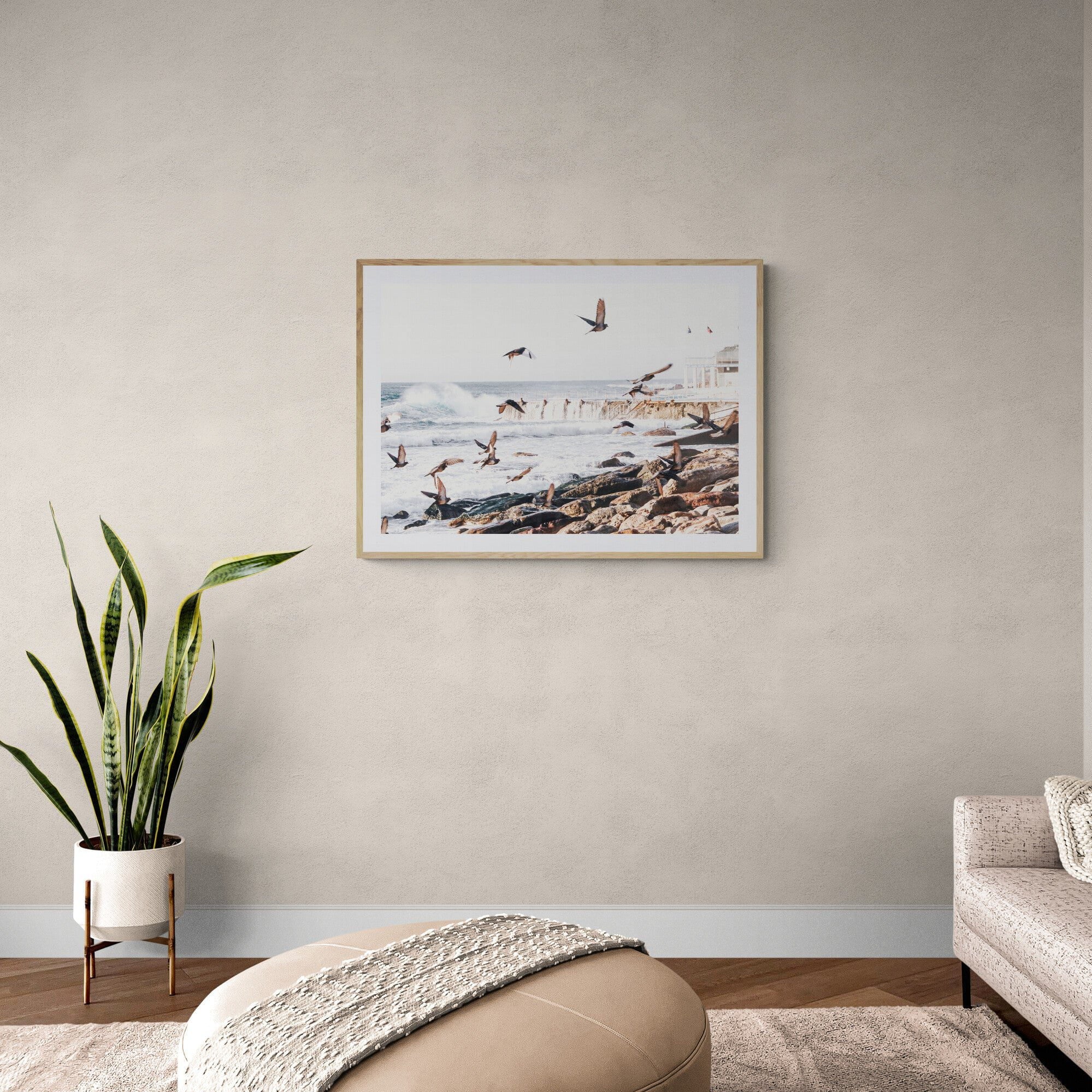 Seek & Ramble Framed Coastal Bondi Beach Seagulls Framed & Mounted Print