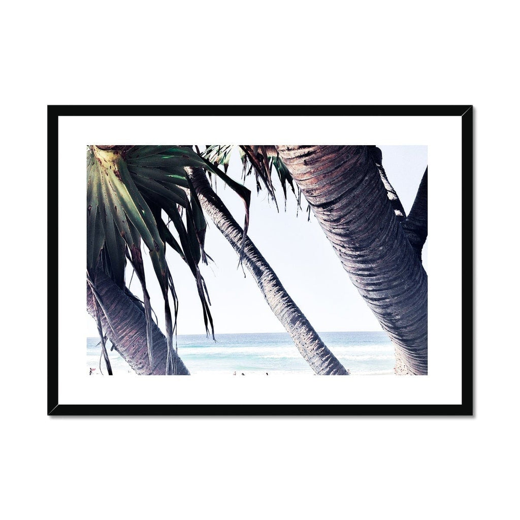 SeekandRamble Framed 16"x12" (40.64x30.48cm) / Black Frame Coastal Palms Framed Print