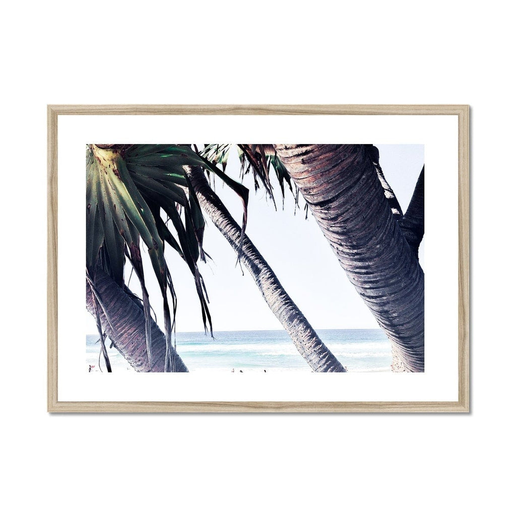SeekandRamble Framed 16"x12" (40.64x30.48cm) / Natural Frame Coastal Palms Framed Print