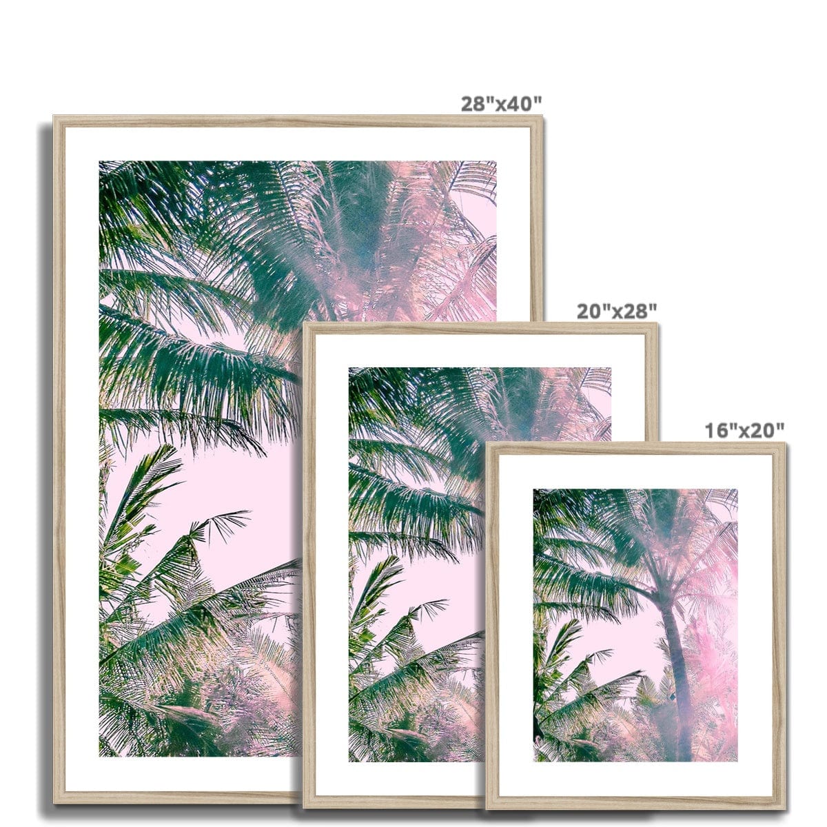 Seek & Ramble Framed Pink Palm Trees Framed & Mounted Print