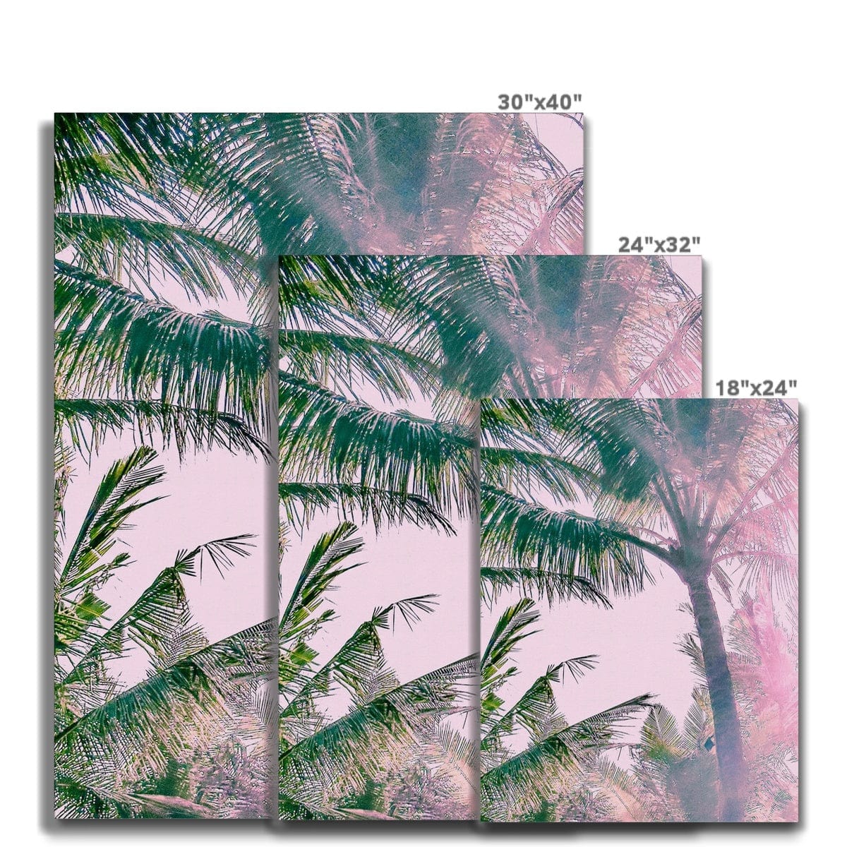 Seek & Ramble Canvas Pink Palm Trees Canvas