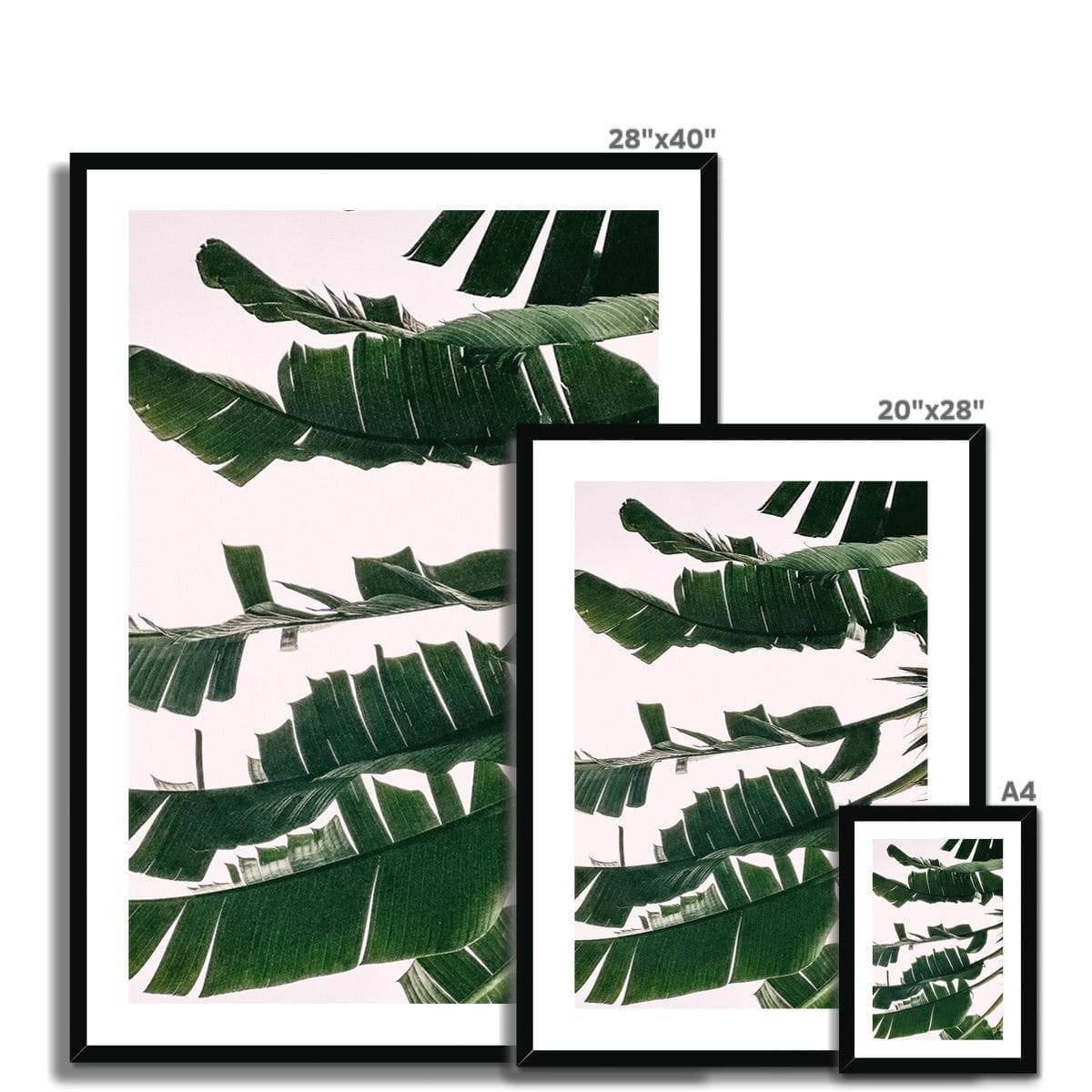Seek & Ramble Framed Fan Palm Left Framed & Mounted Print
