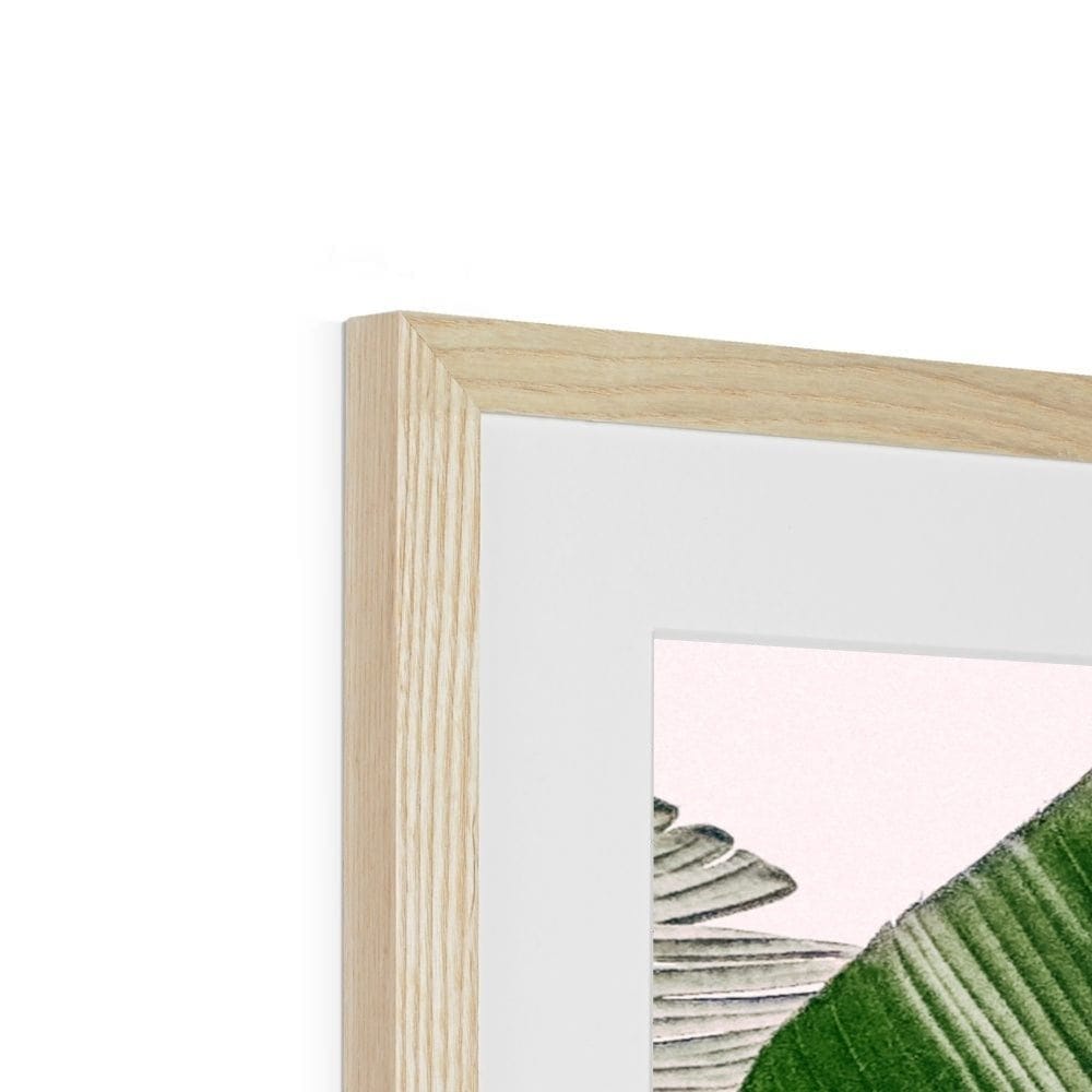 Seek & Ramble Framed Fan Palm Right Framed & Mounted Print