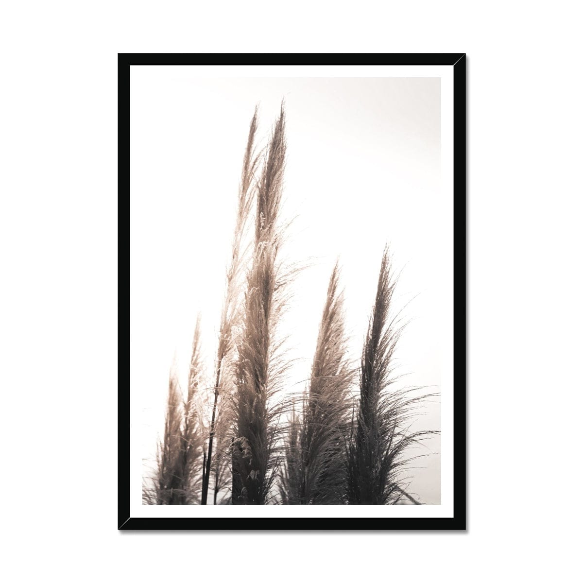 Seek & Ramble Framed A4 Portrait / Black Frame Feather Grass 1 Framed Print