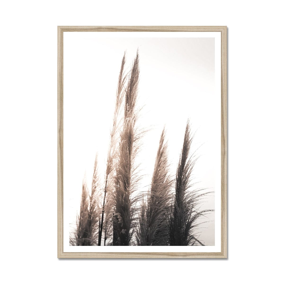 Seek & Ramble Framed A4 Portrait / Natural Frame Feather Grass 1 Framed Print