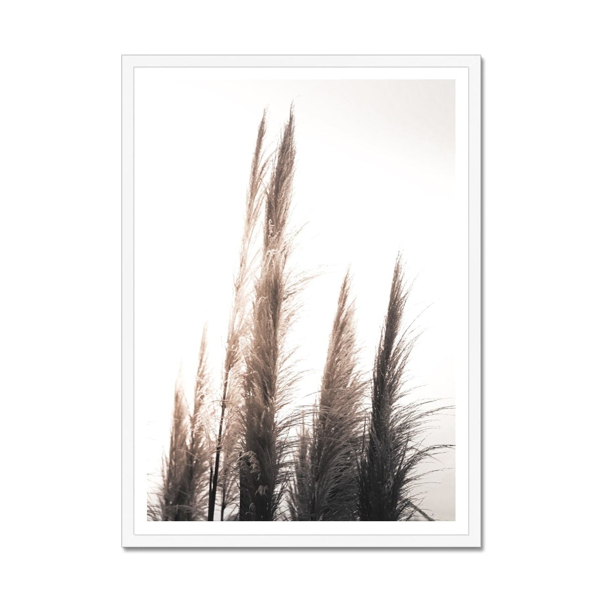Seek & Ramble Framed A4 Portrait / White Frame Feather Grass 1 Framed Print