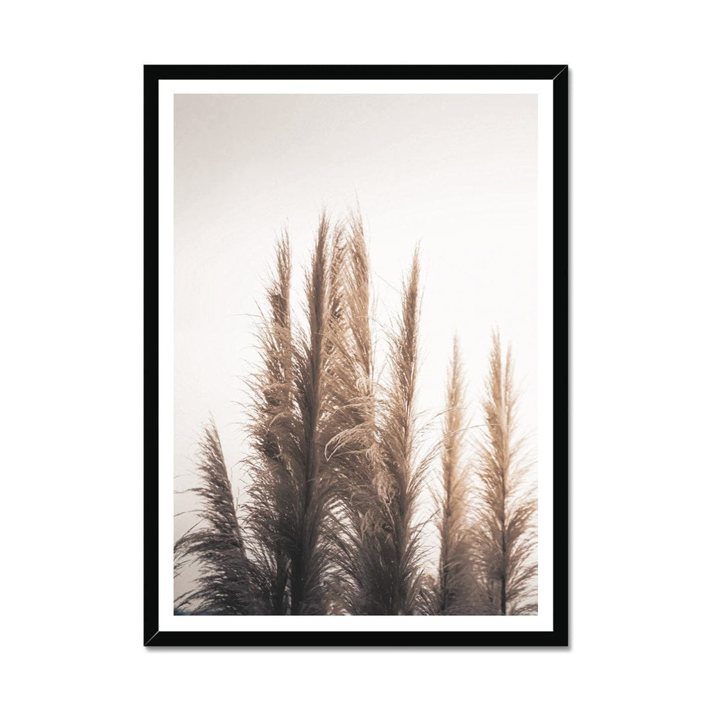 SeekandRamble Framed A4 Portrait / Black Frame Feather Grass 2 Framed Print