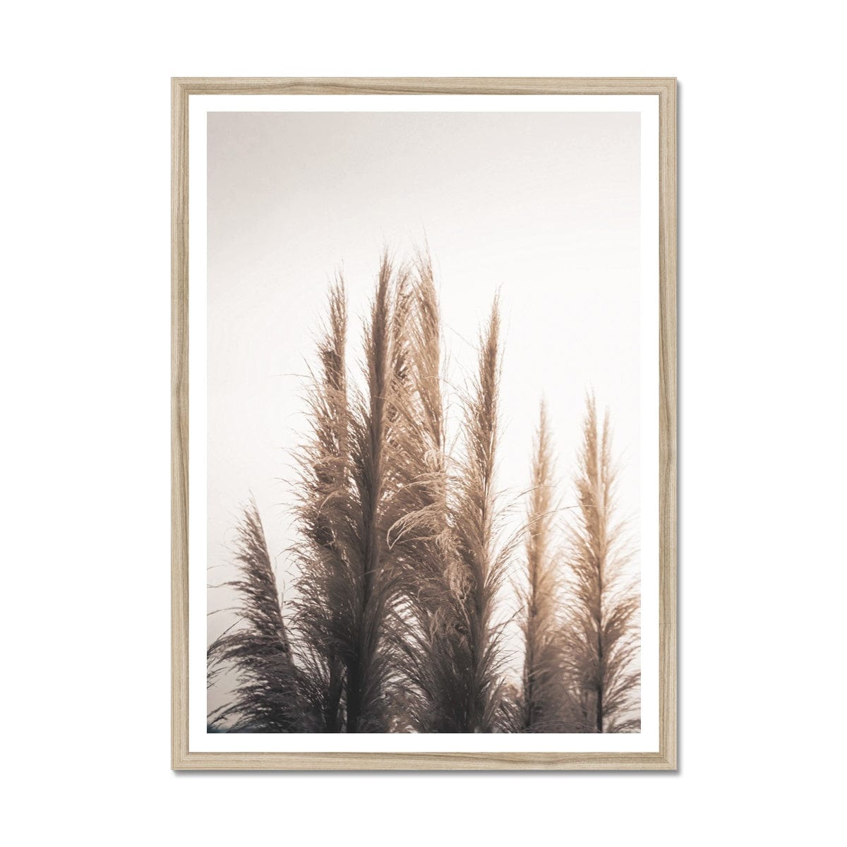 Seek & Ramble Framed A4 Portrait / Natural Frame Feather Grass 2 Framed Print