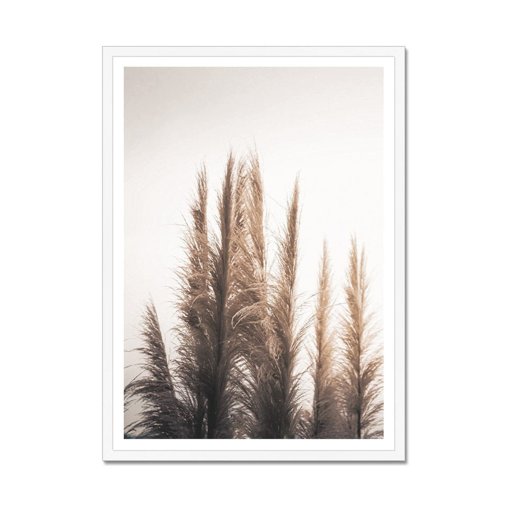 SeekandRamble Framed A4 Portrait / White Frame Feather Grass 2 Framed Print