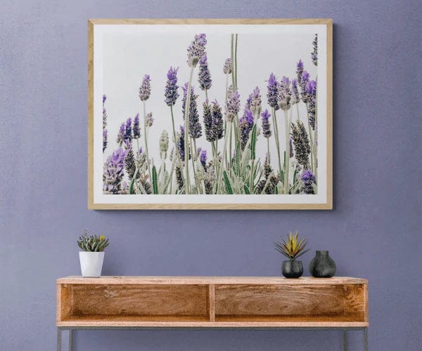 SeekandRamble Framed Flowering Lavender Print