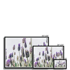 Seek & Ramble Framed Flowering Lavender Print