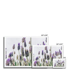 Seek & Ramble Framed Flowering Lavender Print