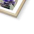 Seek & Ramble Framed Flowering Lavender Print