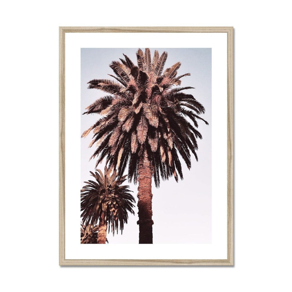 SeekandRamble Framed 20"x28" / Natural Frame Golden Palm Trees Framed & Mounted Print