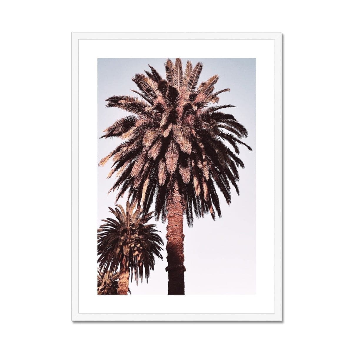 Seek & Ramble Framed Golden Palm Trees Framed & Mounted Print