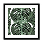 Seek & Ramble Framed 12"x12" / Black Frame Green Monstera Leaves Framed & Mounted Print
