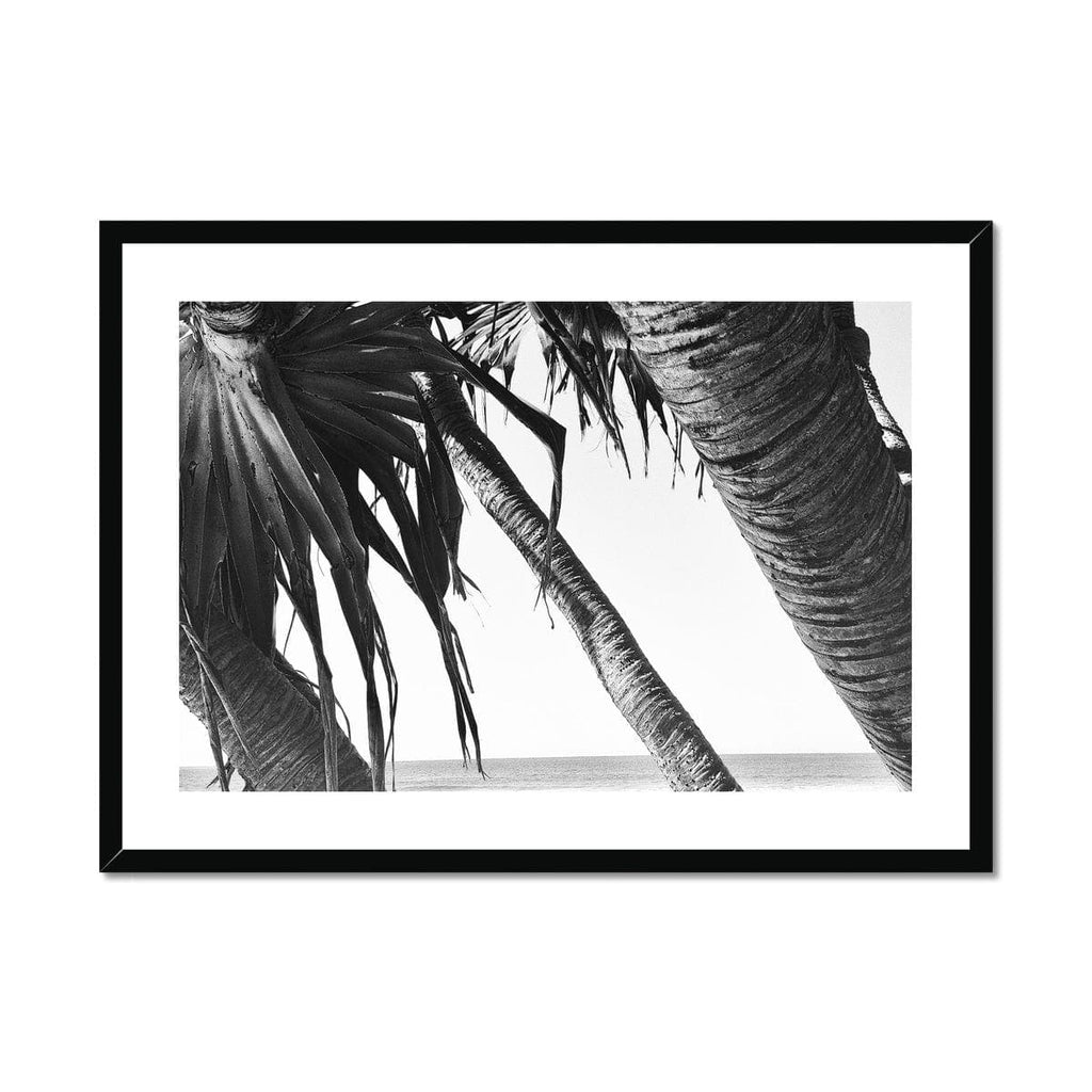 SeekandRamble Framed 28"x20" / Black Frame Leaning Palm Trees Framed & Mounted Print