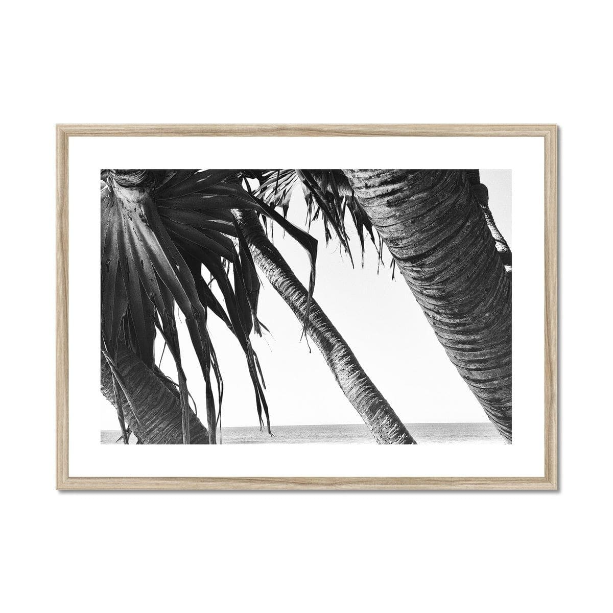 Adam Davies Framed A4 Landscape / Natural Frame Leaning Palm Trees Framed & Mounted Print