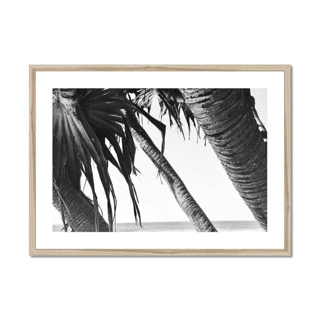 SeekandRamble Framed 28"x20" / Natural Frame Leaning Palm Trees Framed & Mounted Print