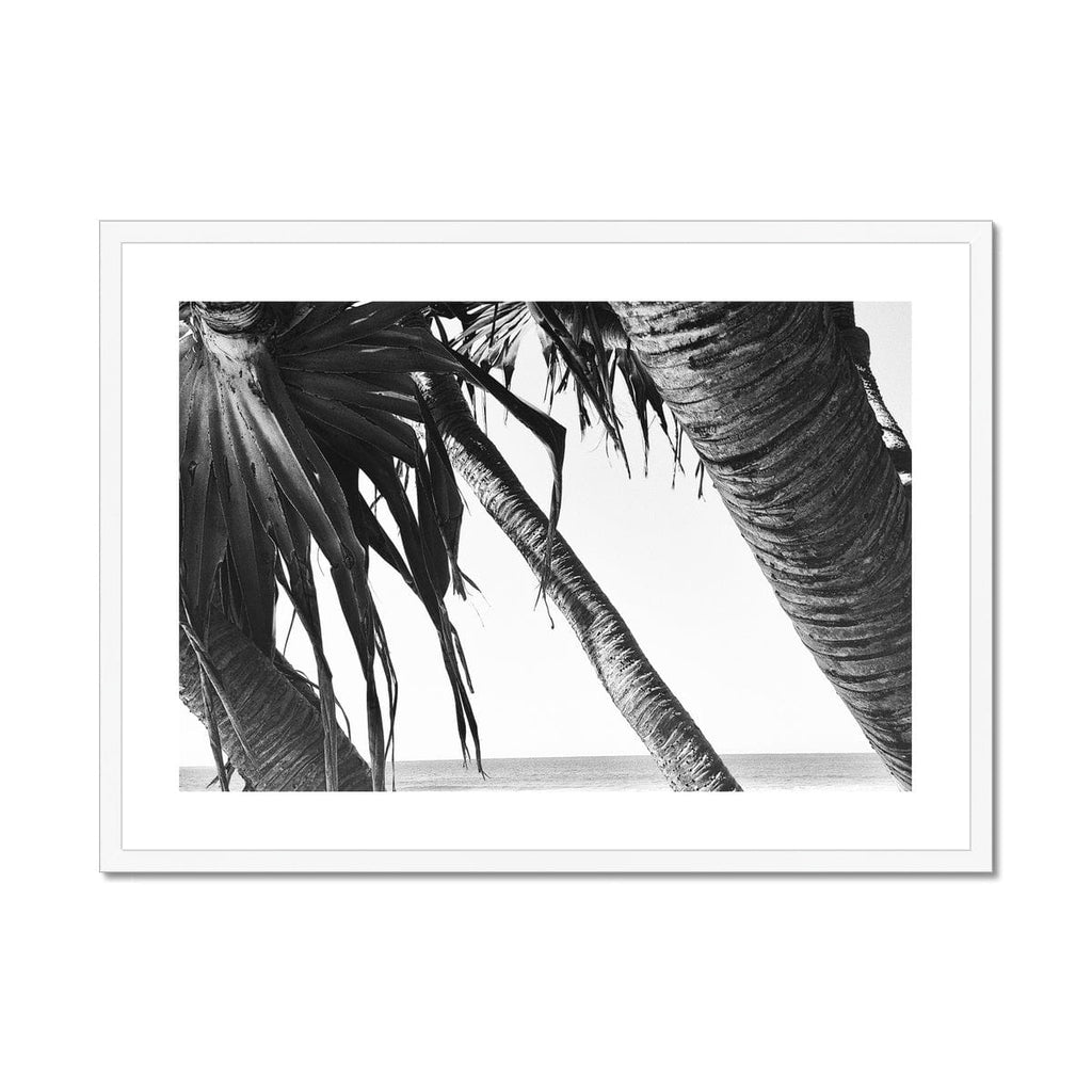 SeekandRamble Framed 28"x20" / White Frame Leaning Palm Trees Framed & Mounted Print