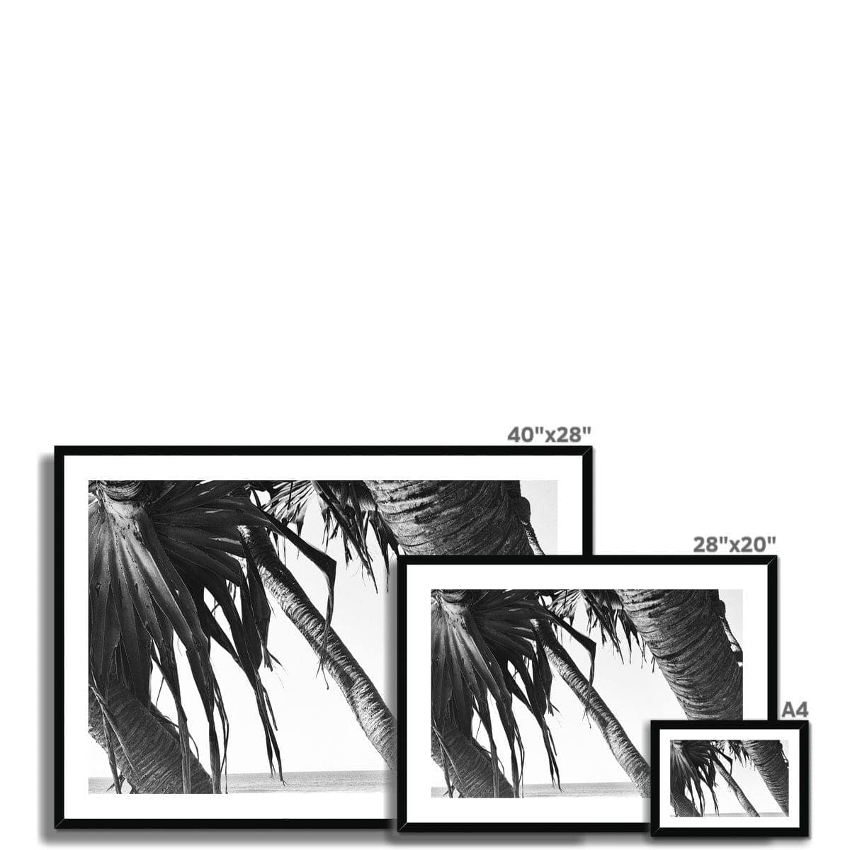 Adam Davies Framed Leaning Palm Trees Framed & Mounted Print