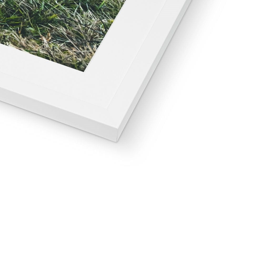 SeekandRamble Framed Little Bay Port Macquarie Coastal View Framed & Mounted Print