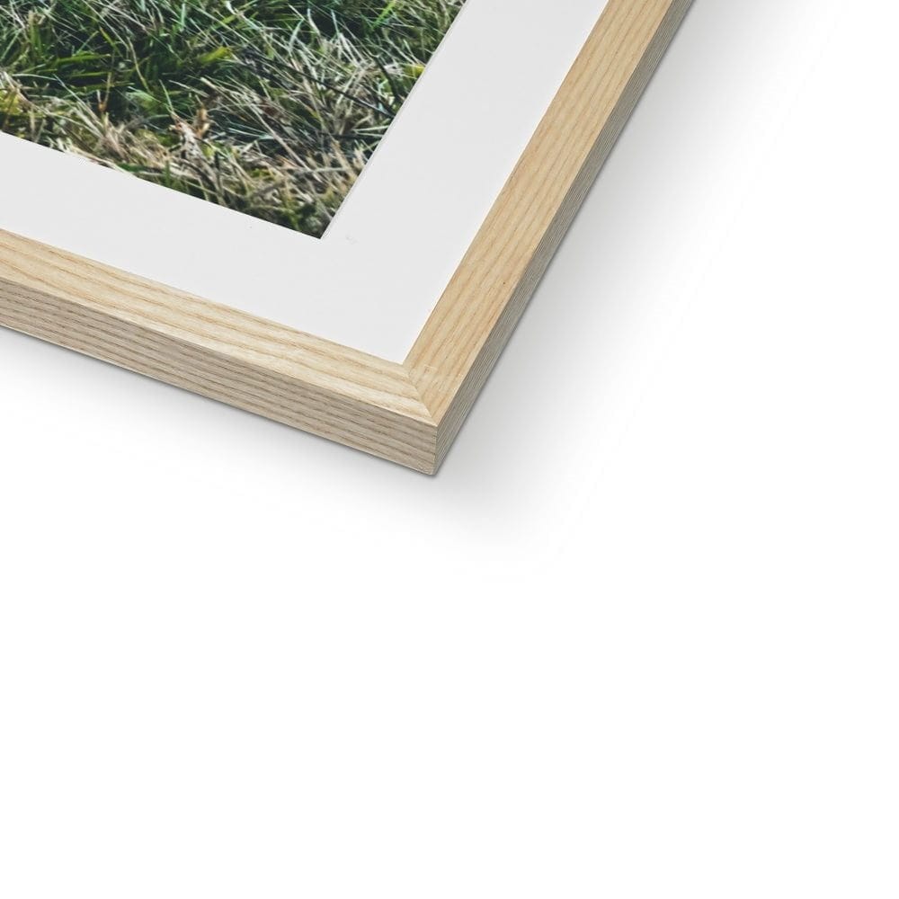 Seek & Ramble Framed Little Bay Port Macquarie Coastal View Framed & Mounted Print
