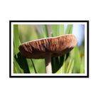 Seek & Ramble Framed 16"x12" (40.64 x 30.48cm) / Black Frame Mushroom Print | Botanical Garden | Magic | Green | Brown | Fungi | Wall Decor | Framed Print