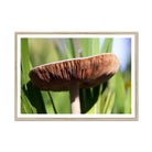 Seek & Ramble Framed 16"x12" (40.64 x 30.48cm) / Natural Frame Mushroom Print | Botanical Garden | Magic | Green | Brown | Fungi | Wall Decor | Framed Print