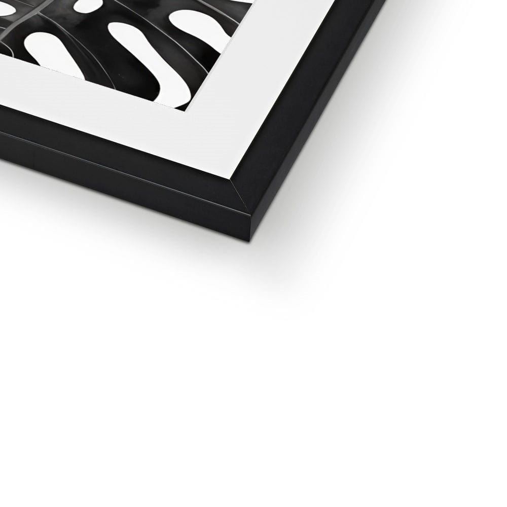 SeekandRamble Framed Monochrome Monstera Leaves Framed & Mounted Print