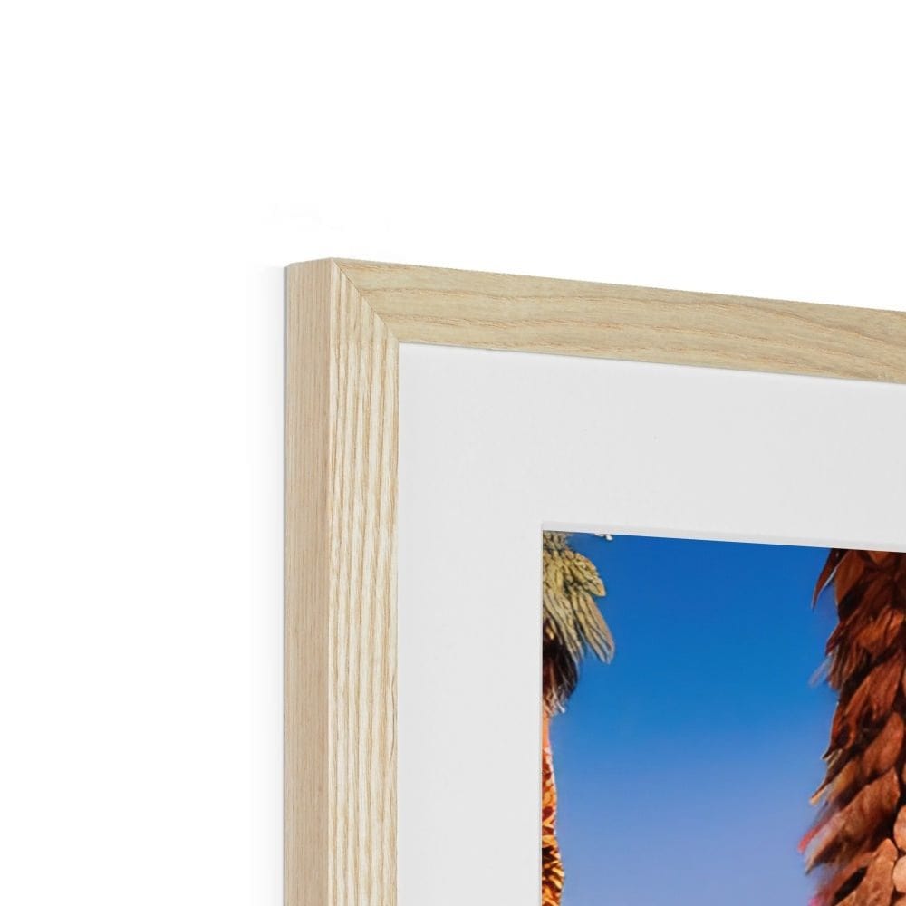 Seek & Ramble Framed Palm Springs Architecture Colour Ai Framed & Mounted Print